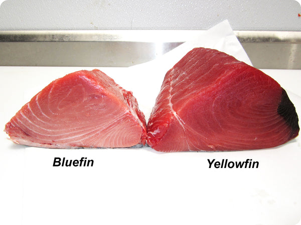 Bluefin Tuna (fresh, sashimi-grade) by the pound – Honolulu Catch