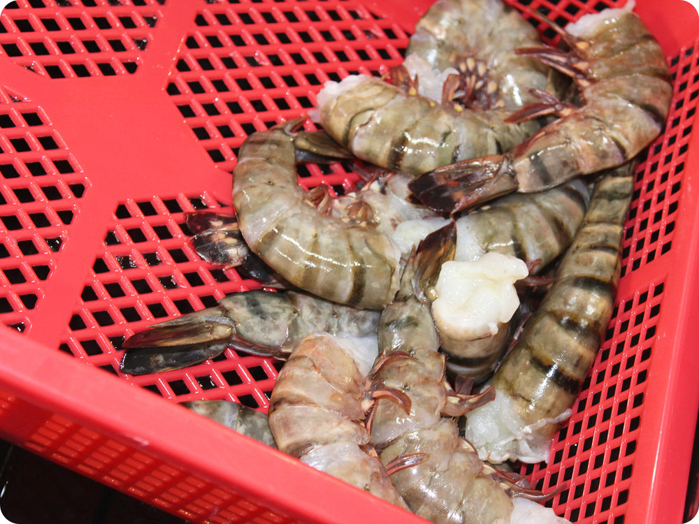 Shell On Jumbo Shrimp