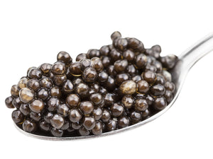 Osetra Caviar in a silver spoon