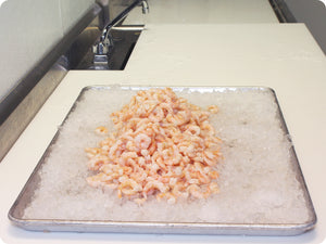 Canadian Shrimpmeat by the pound